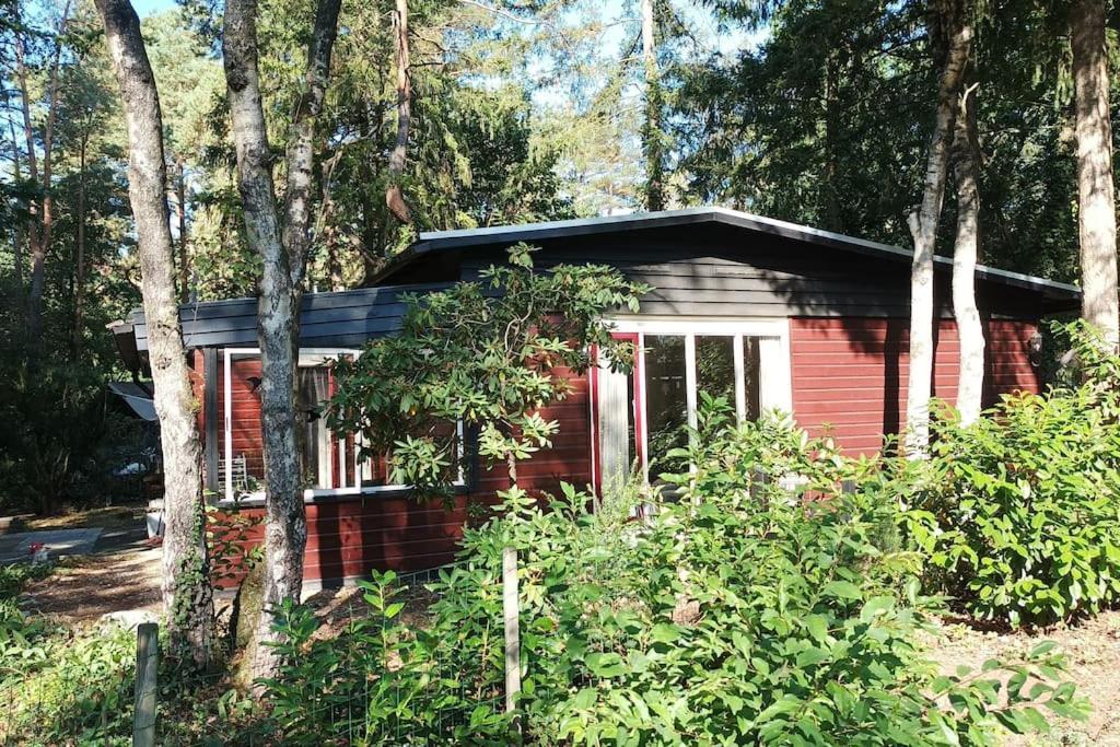 Bosbungalow De Eekhoorn Nunspeet Exterior foto