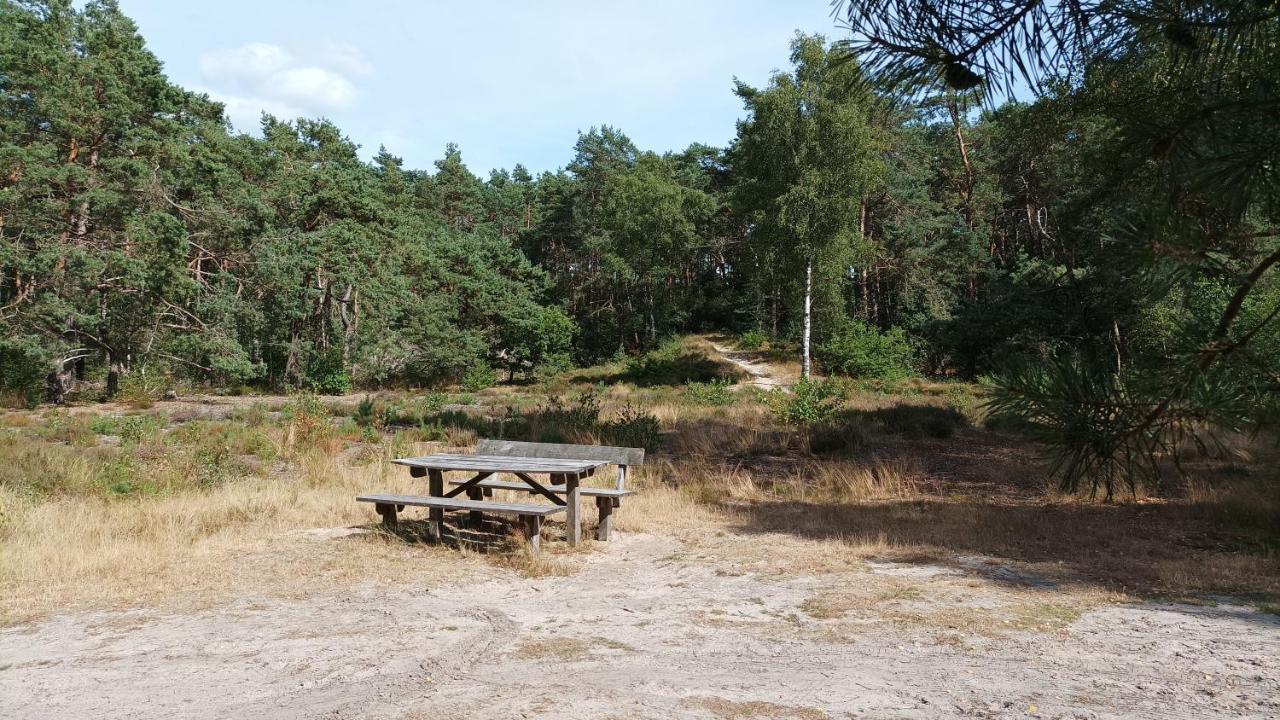 Bosbungalow De Eekhoorn Nunspeet Exterior foto