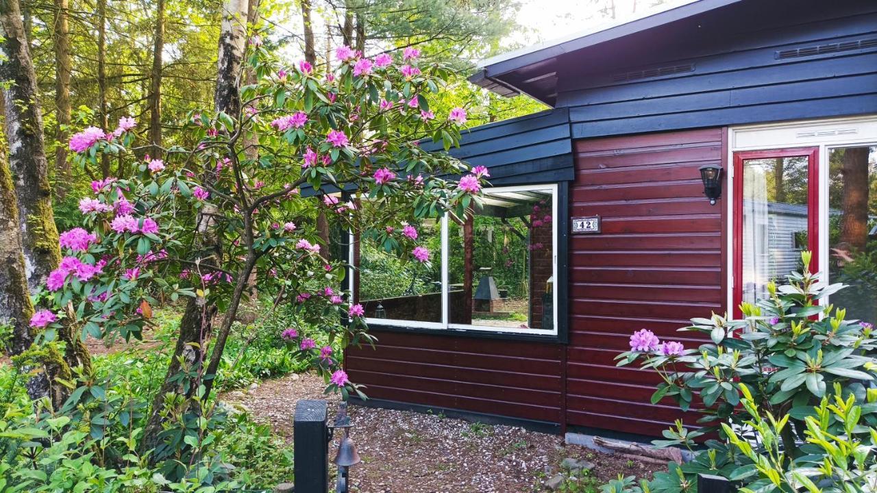 Bosbungalow De Eekhoorn Nunspeet Exterior foto